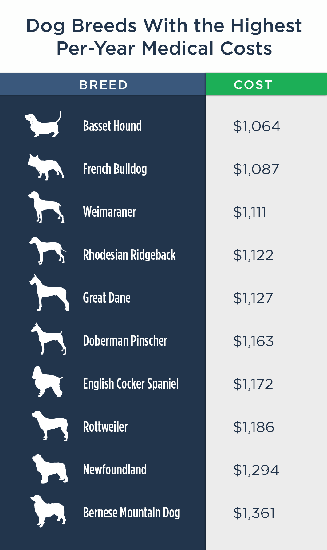 How Much Does A Plane Cost? How Much Guide