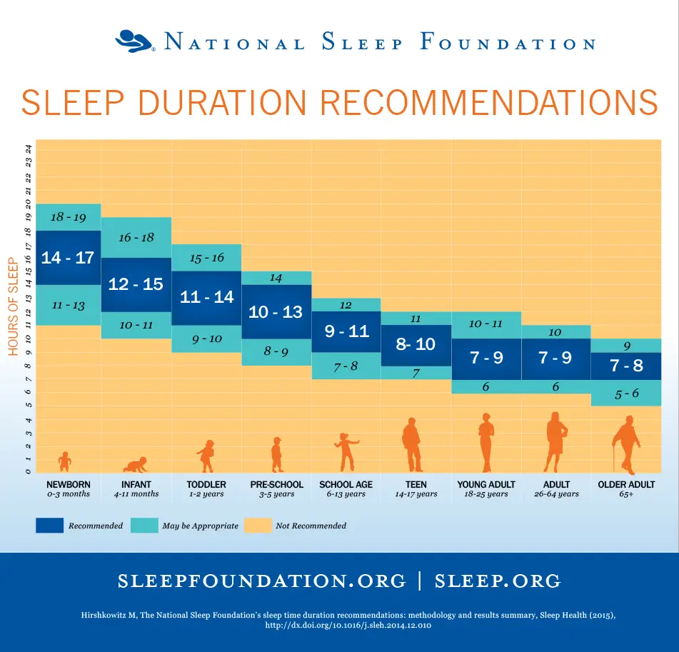 How Much Sleep Do You Need?