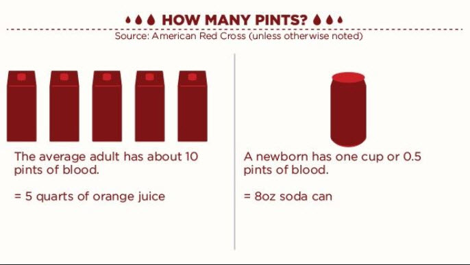 how many pints of blood in body