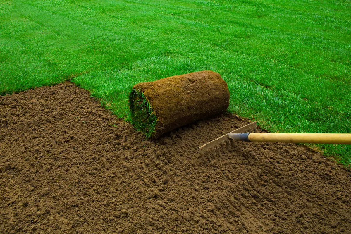 How Much Does Sod Cost?